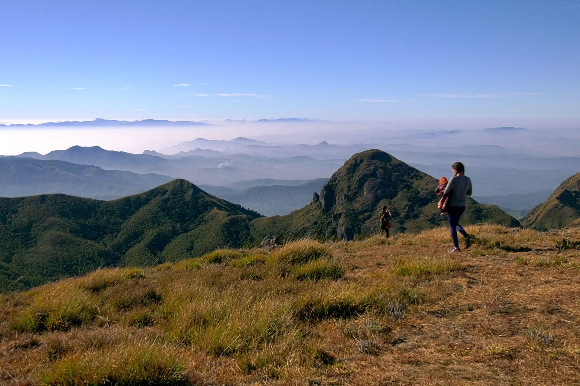 Munnar Pulimala Trekking